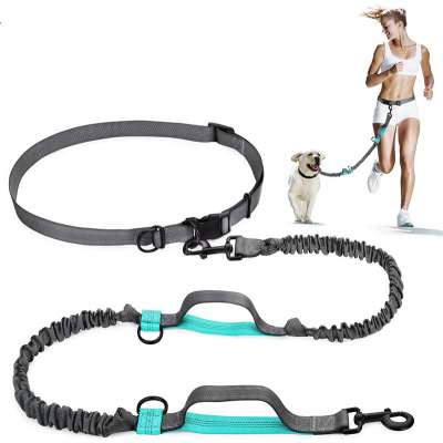 Wholesale Retractable Hands Free Dog Leash with Dual Bungees Adjustable Waist Belt